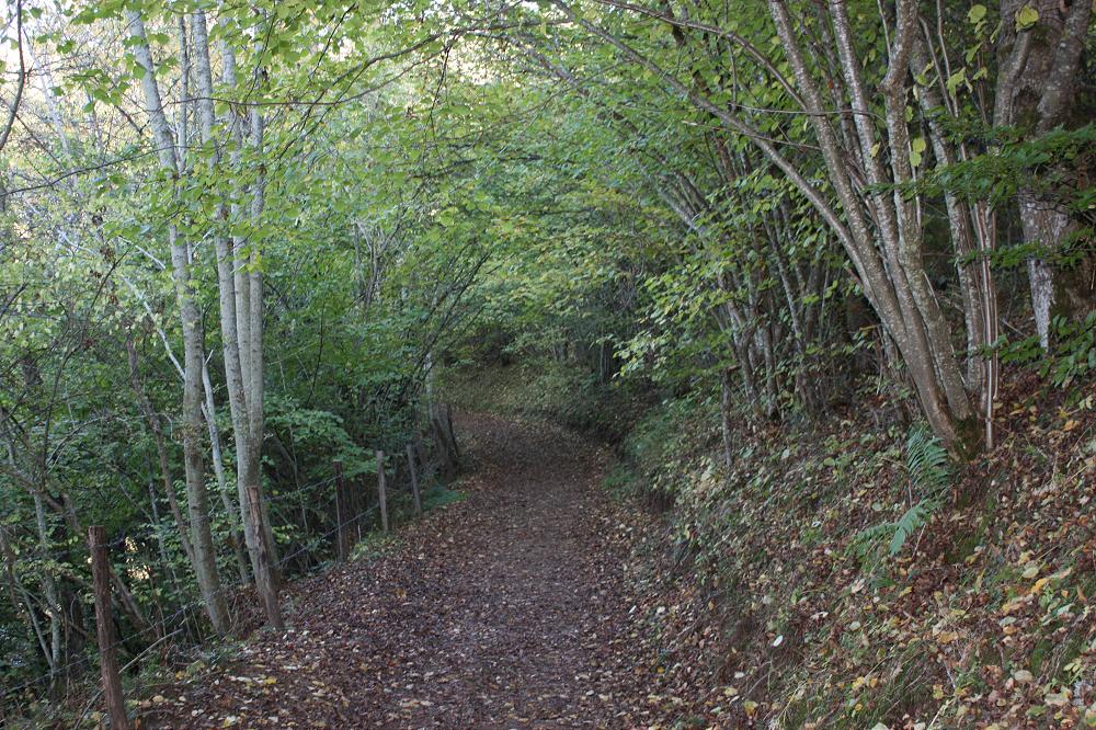 location de vacances en auvergne 4 location de vacances en auvergne 4